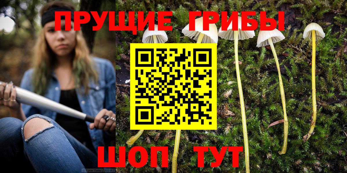 Галлюциногенные грибы мухоморы  Галлюциногенные грибы MAGIC MUSHROOMS  Тара  Вход с VPN 